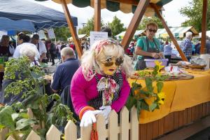 209 Svetovni festival prazenega krompirja Foto atelje Postojna